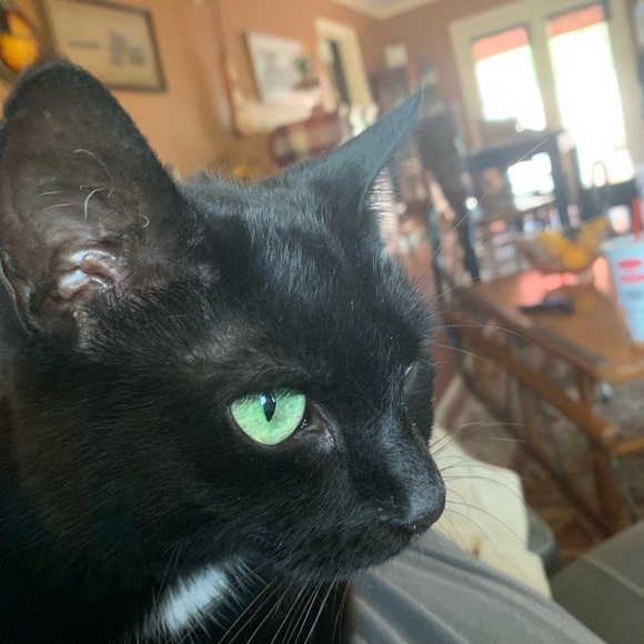 Meet your Posher, Jon - Picture 1 of 1